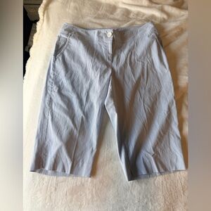 Rafaella Bermuda Shorts Womens 18W Blue Stripe Cotton Stretch